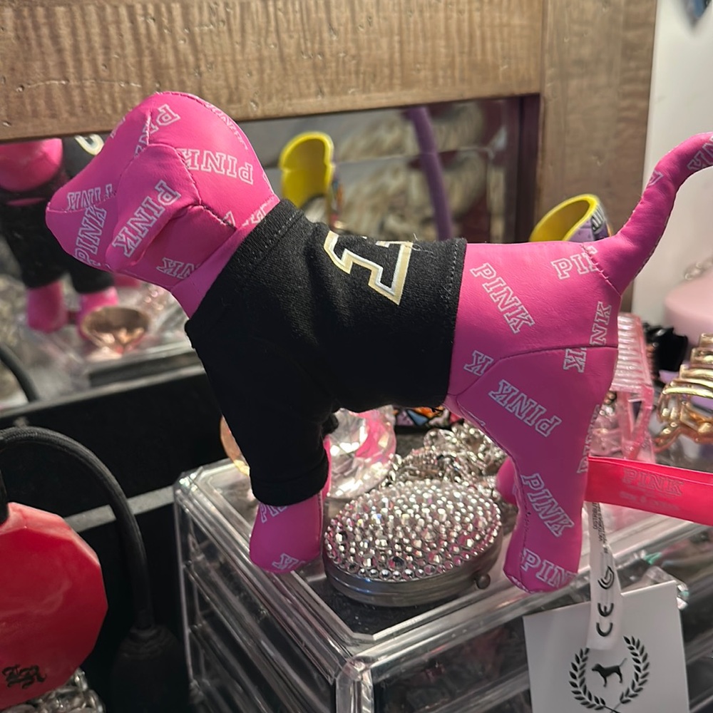 Rare Pink Purdue Dog - Picture 1 of 5